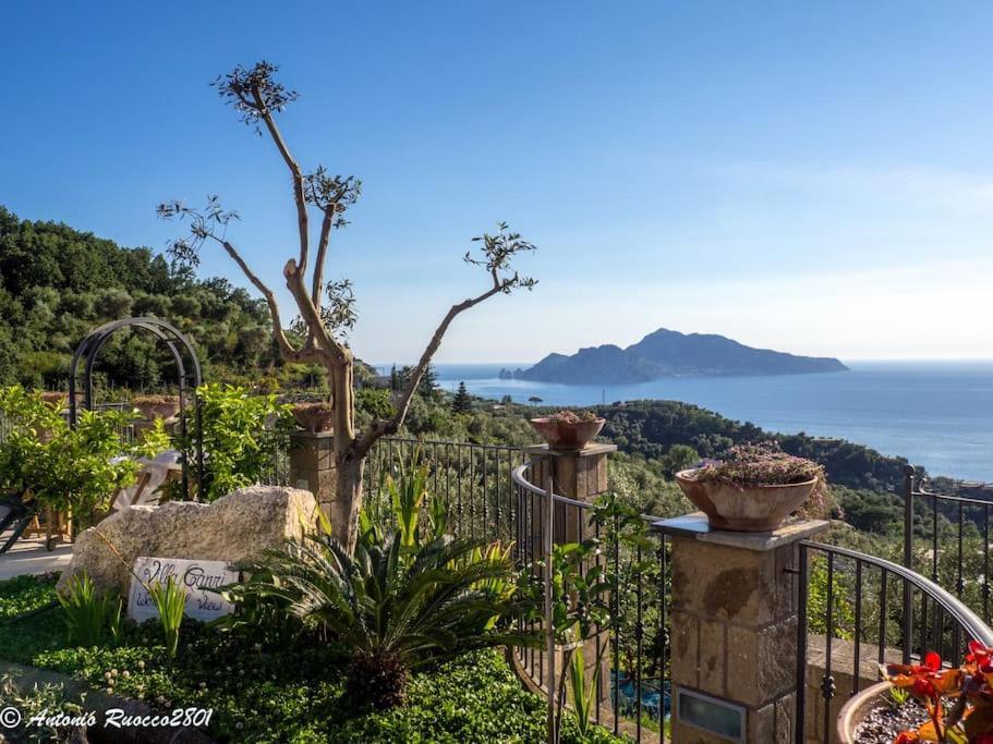Villa Capri Wonderful View Massa Lubrense Kültér fotó