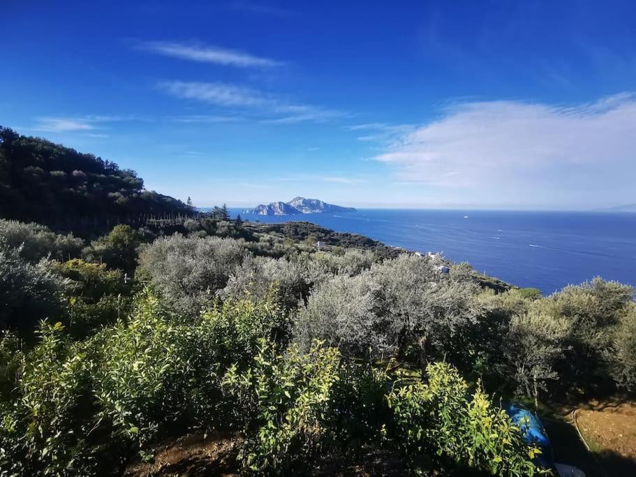 Villa Capri Wonderful View Massa Lubrense Kültér fotó