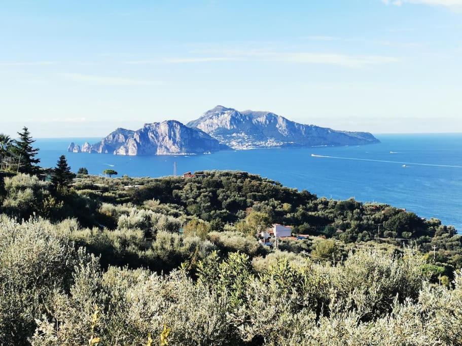 Villa Capri Wonderful View Massa Lubrense Kültér fotó